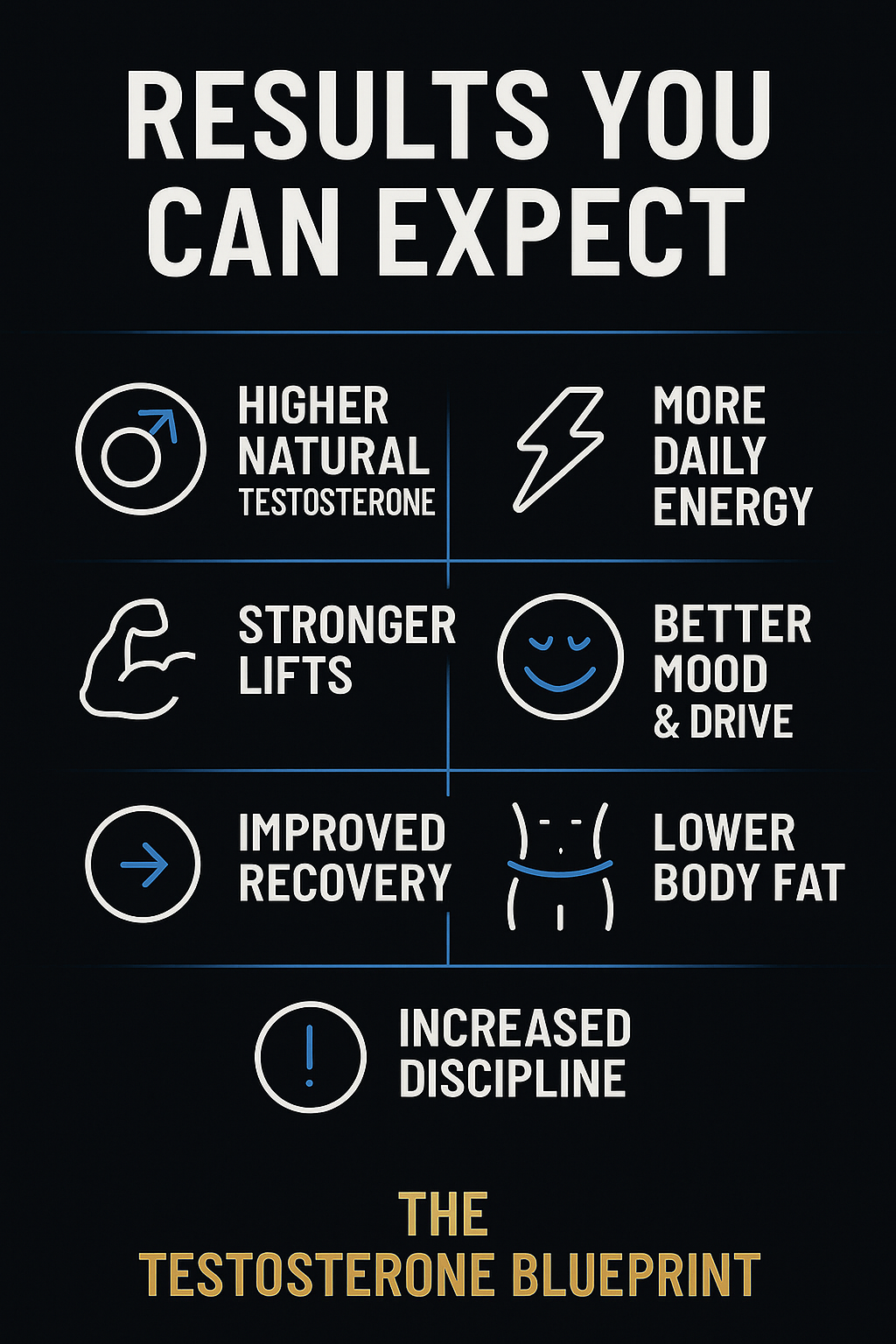 The Testosterone BluePrint (Ebook)